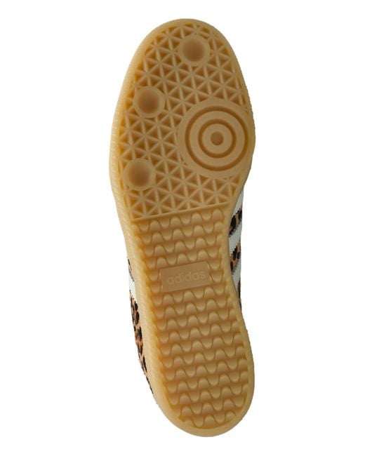Adidas Originals Brown 'Samba Og W' Sports Shoes