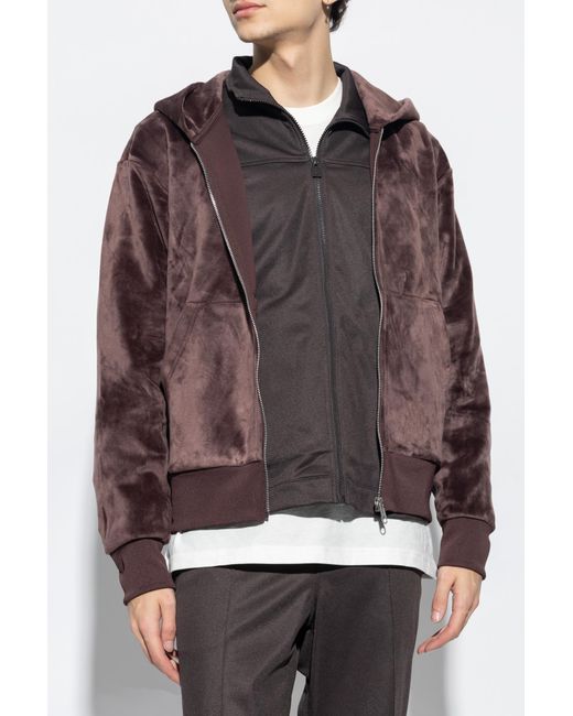 Adidas originals deals velvet hoodie