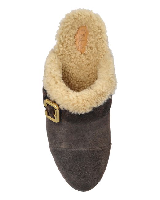 Chloé Brown Clogs