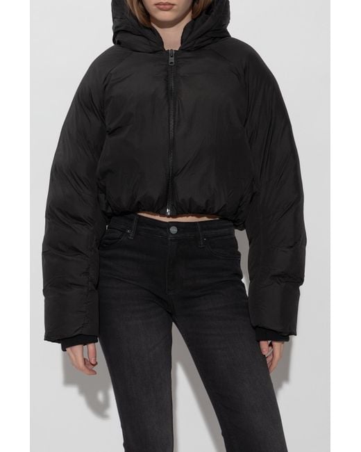 AllSaints Black Short Padded Jacket 'Mae'