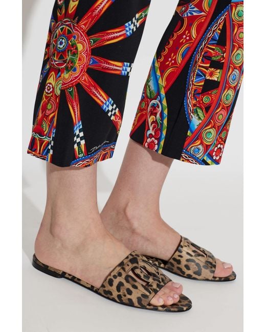 Dolce & Gabbana White Leather Slides With Animal Print