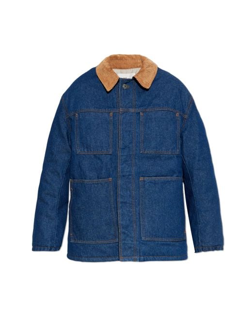 AMI Blue Insulated Jacket With Corduroy Collar