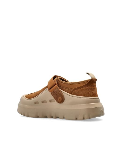 Ugg Brown "M Peakmod Lowcut" Shoes for men