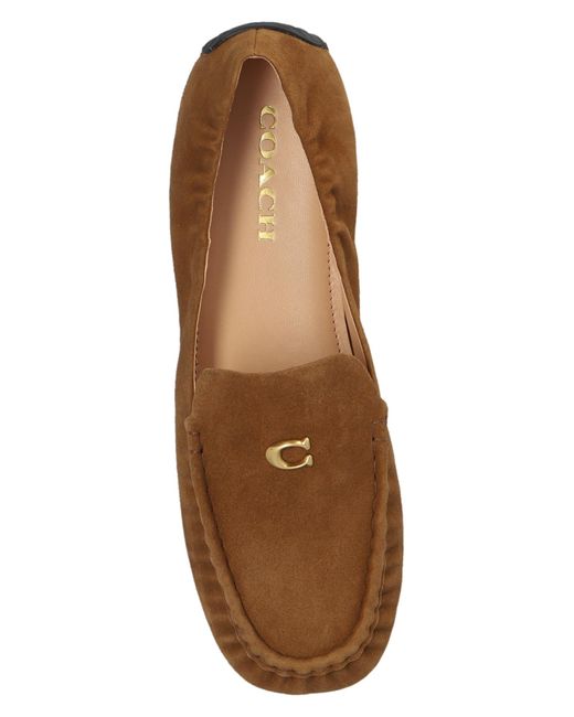 COACH Natural Leather Shoes
