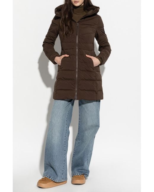 Canada Goose Brown Quilted Jacket "Clair"