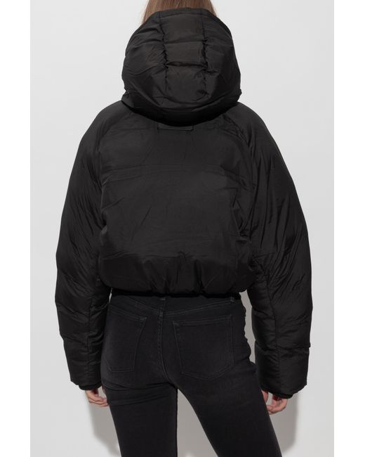 AllSaints Black Short Padded Jacket 'Mae'