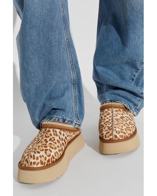 Ugg Brown 'Tazz Plains' Shoes