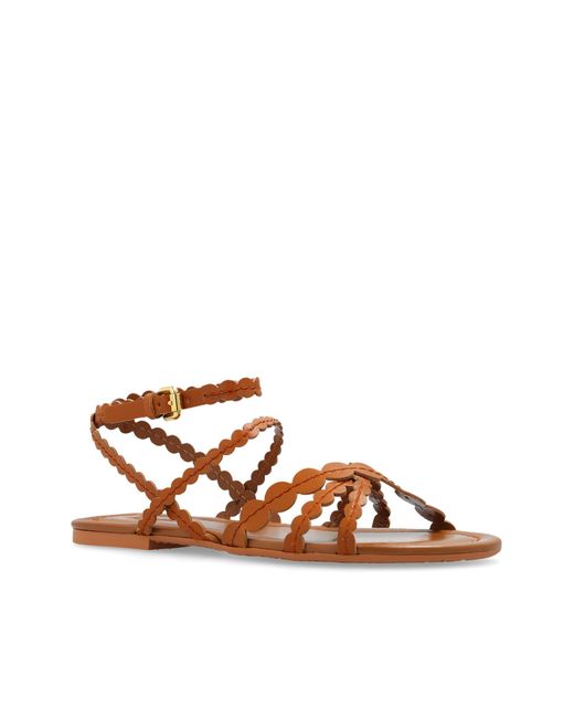 See By Chloé Brown 'kaddy' Leather Sandals,