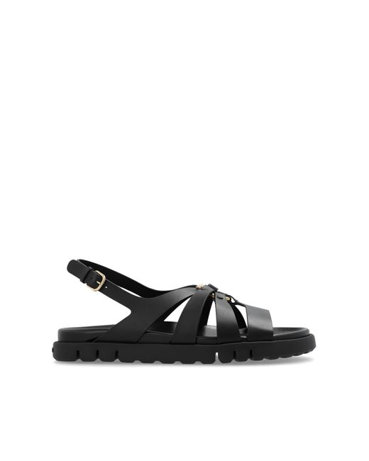 Ferragamo Black 'agnes' Sandals,