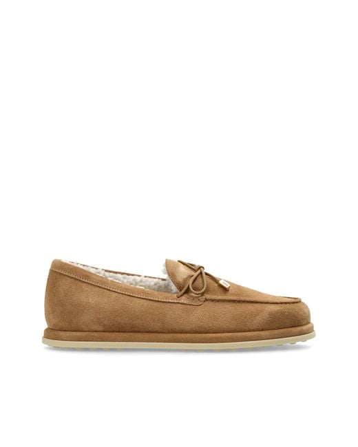 Tod's Brown Suede 'Loafers' Shoes