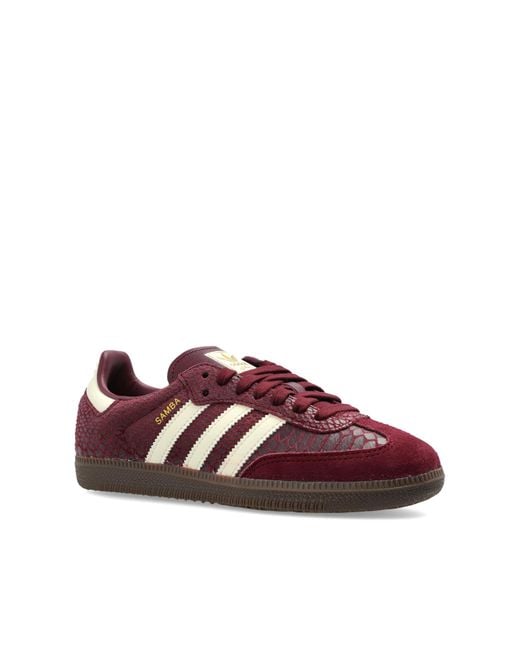 Adidas Originals Brown 'Samba Og W' Sports Shoes