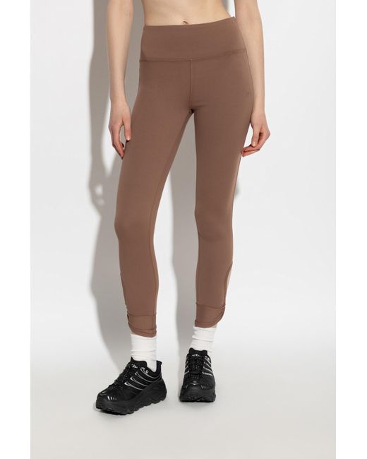 EA7 Brown Training Leggings