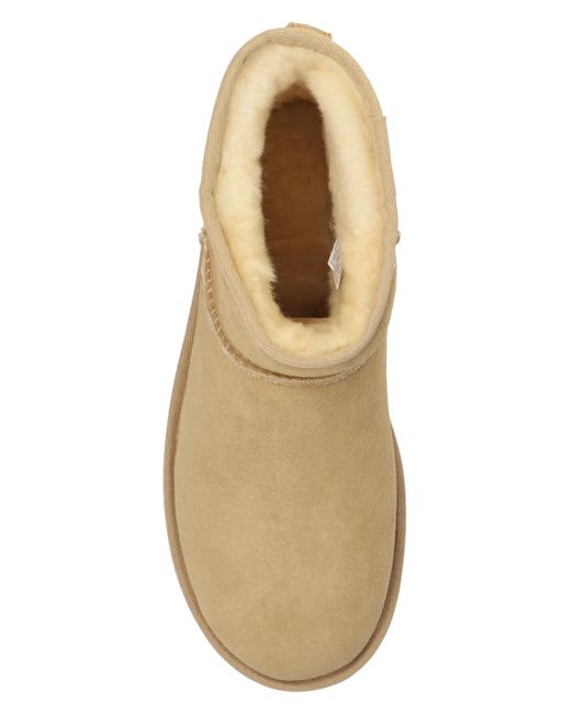 Ugg Brown 'classic Mini Ii' Snow Boots,
