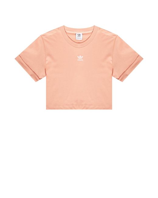 adidas Originals Cotton Cropped T-shirt With Logo, Animals Pattern in Orange  - Lyst