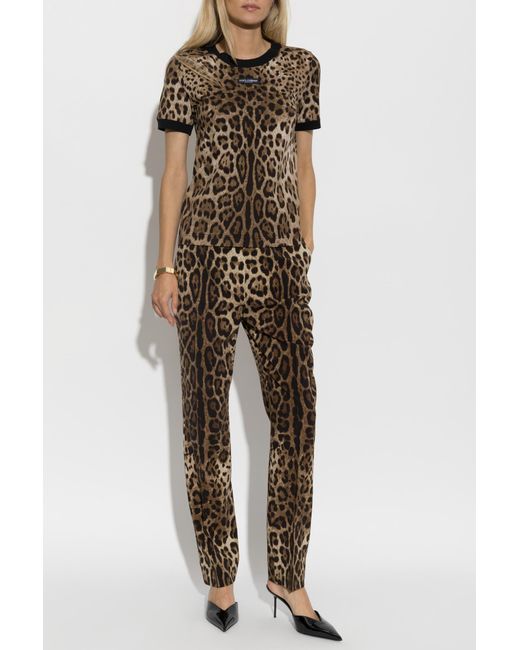 Dolce & Gabbana Brown Animal Motif T-Shirt