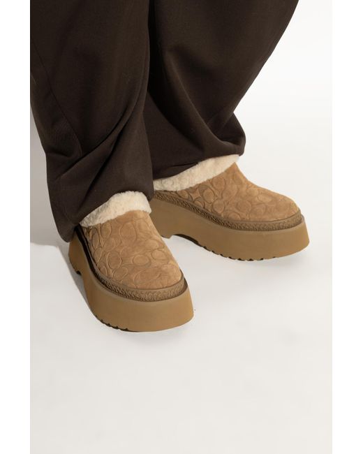 COACH Brown Platform Shoes "Cecelia"