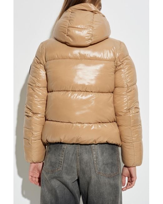 Save The Duck Natural Insulated Jacket "Biddy"