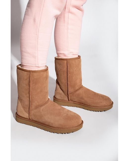 Ugg Brown Classic Short Ii Snow Boots