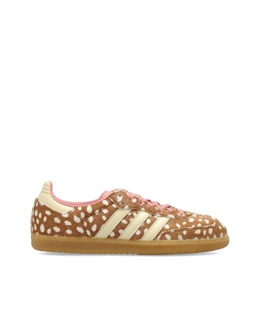 Adidas Originals Brown 'Samba Og' Sports Shoes
