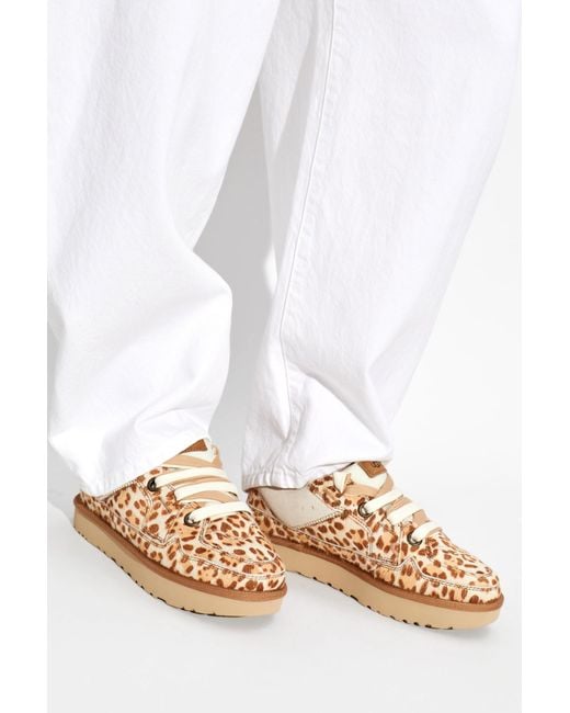 Ugg Brown "Lo Lowmel Plains" Sports Shoes