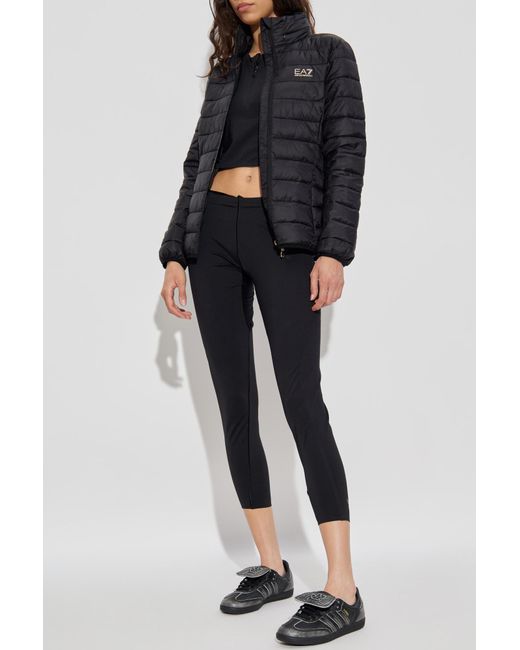 EA7 Blue Insulated Jacket
