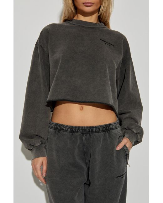 Alexander Wang Gray Sweatshirt With Embroidered Logo