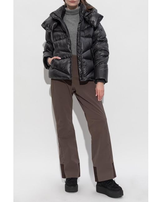 Sease Brown Ski Pants "Akuna"