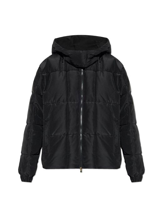 EA7 Black Insulated Quilted Jacket