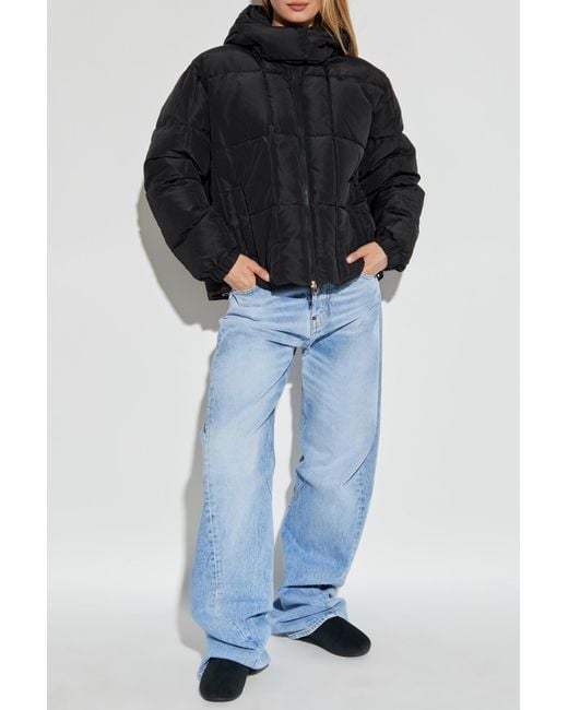 EA7 Black Insulated Quilted Jacket