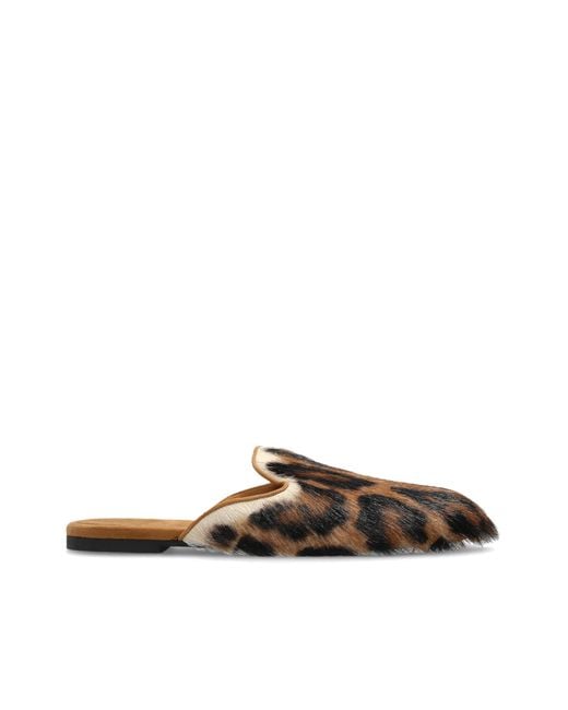 Dolce & Gabbana Brown Furry Slippers