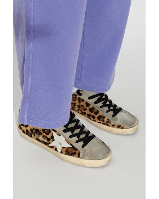 Golden Goose Deluxe Brand Brown 'Super-Star Classic' Sports Shoes
