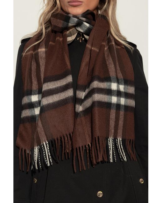 Burberry Brown Cashmere Scarf