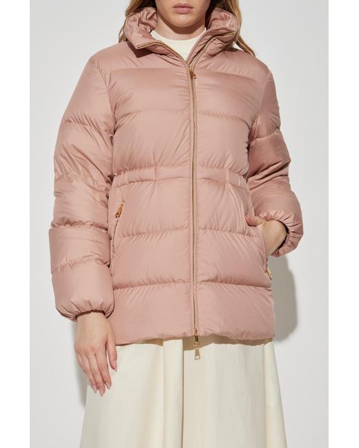 Moncler Natural "Brossette" Down Jacket