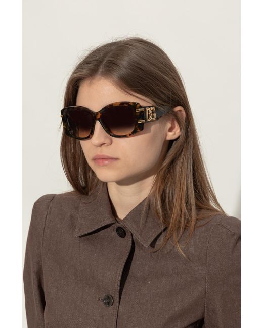 Dolce & Gabbana Brown Sunglasses