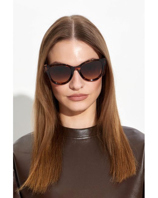 Dolce & Gabbana Brown Sunglasses