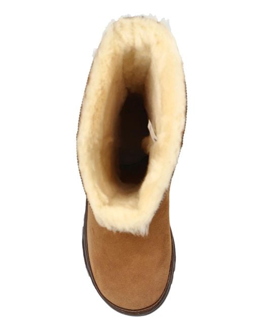 Ugg Brown Snow Boots 'Classic Tall Trailglazer'