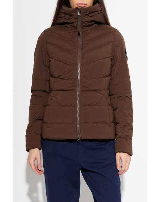 Canada Goose Blue Clair Down Jacket
