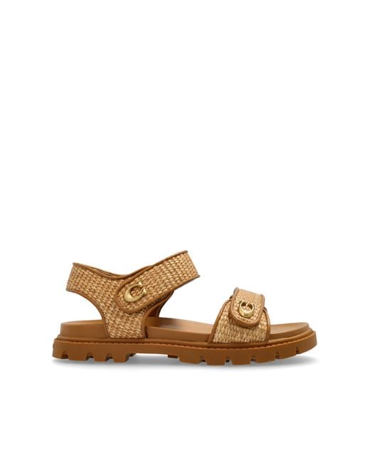 COACH Brown Sandals Brynn
