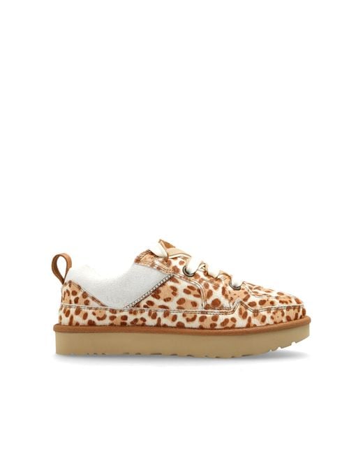 Ugg Brown "Lo Lowmel Plains" Sports Shoes