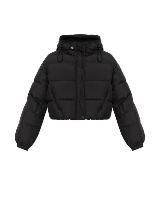 Perfect Moment Blue Down Jacket With Hood