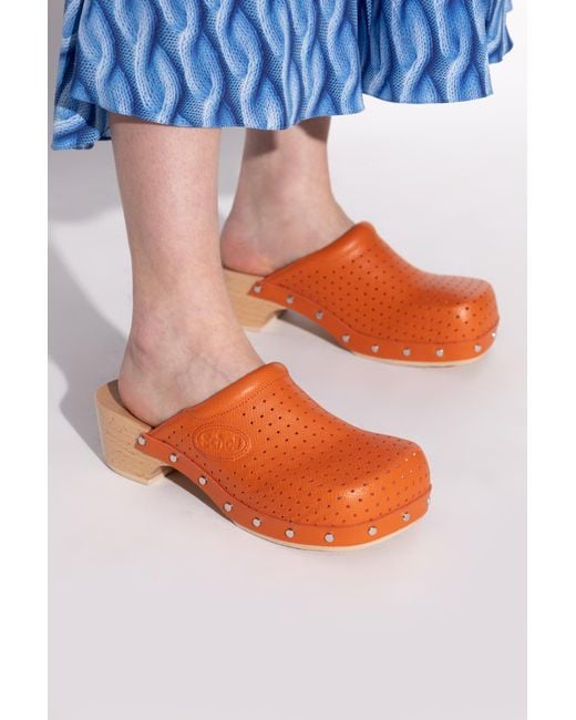 Balenciaga Orange X Scholl