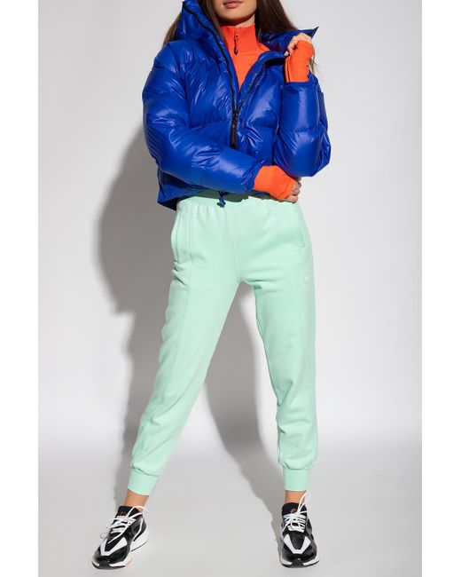 bsc insulated hooded jacket