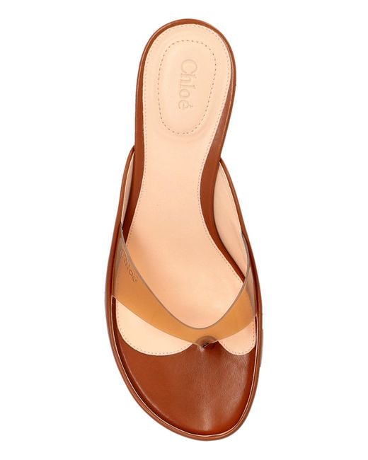 Chloé Brown Heeled Mules 'Junie'