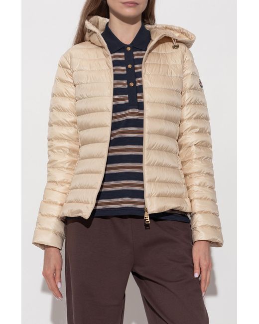 Moncler Natural Down Jacket "Igelhood"