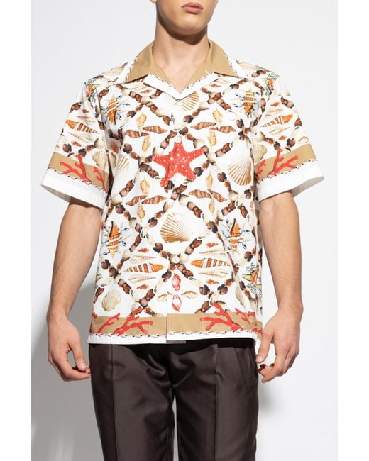 Dolce & Gabbana Multicolor Shirt With A Seashell Motif for men