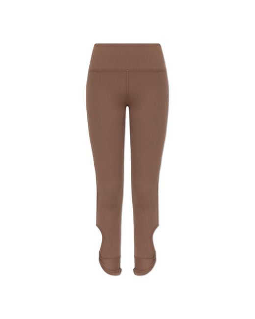 EA7 Brown Training Leggings
