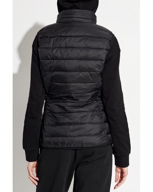 EA7 Blue Insulated Vest