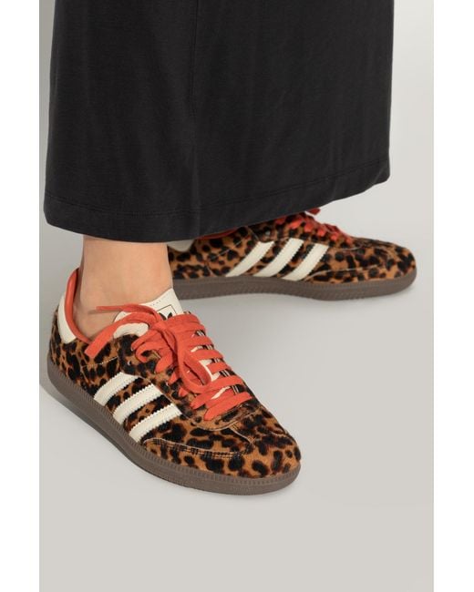 Adidas Originals Brown Sports Shoes Samba Og for men
