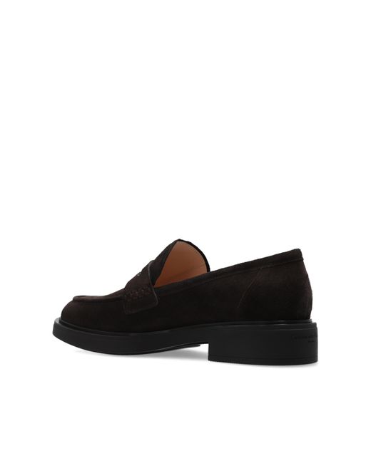 Gianvito Rossi Black Suede 'Harris' Loafers