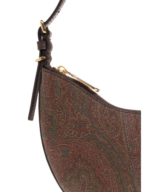 Etro Brown Hobo Bag